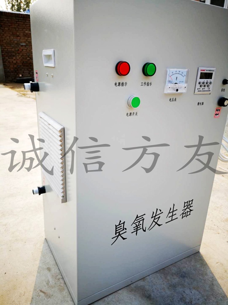 30g臭氧消毒設(shè)備